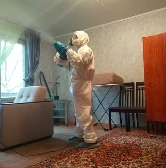 дезинсекция квартиры в Лотошино